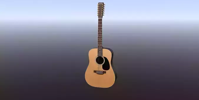 Takamine 12 String Guitar