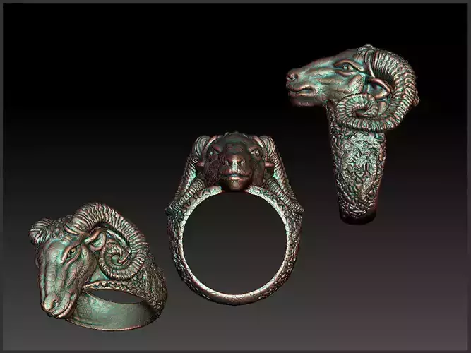 Animal Ring