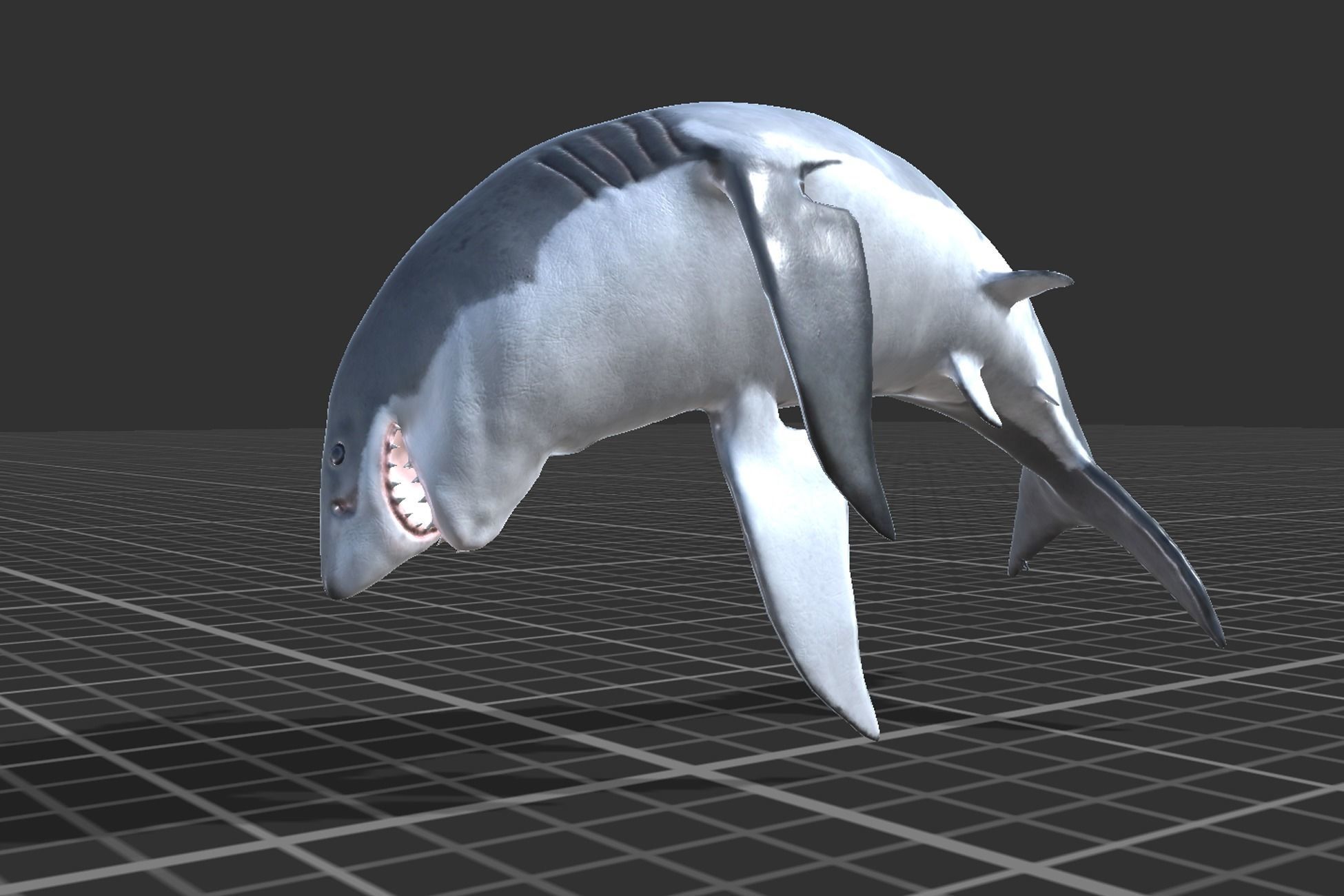 White Shark Low-poly 3D model_6