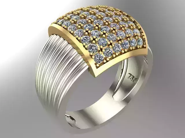 ring fashion