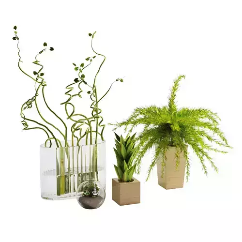 decorative set 05 3D model
