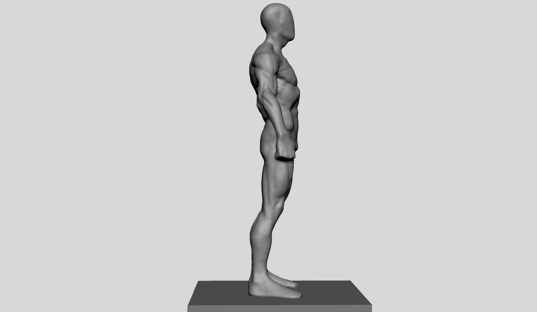 Average Male Anatomy 3D model_2