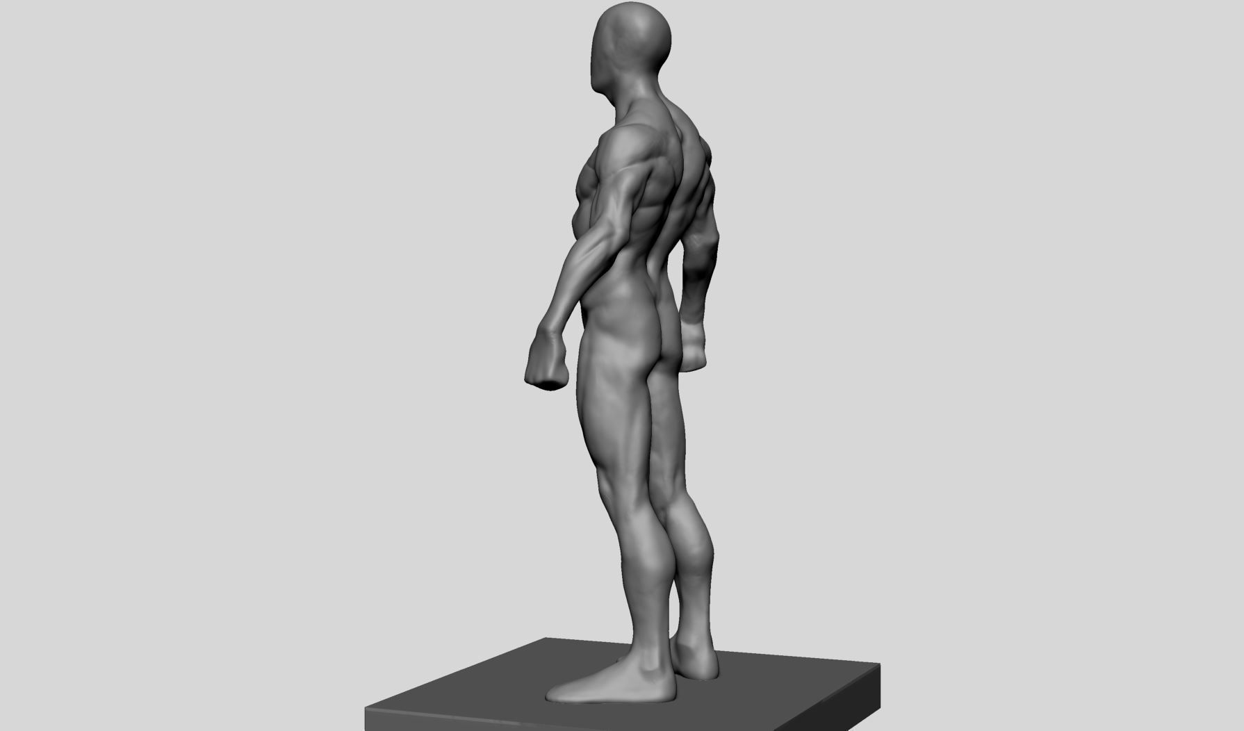 Average Male Anatomy 3D model_6