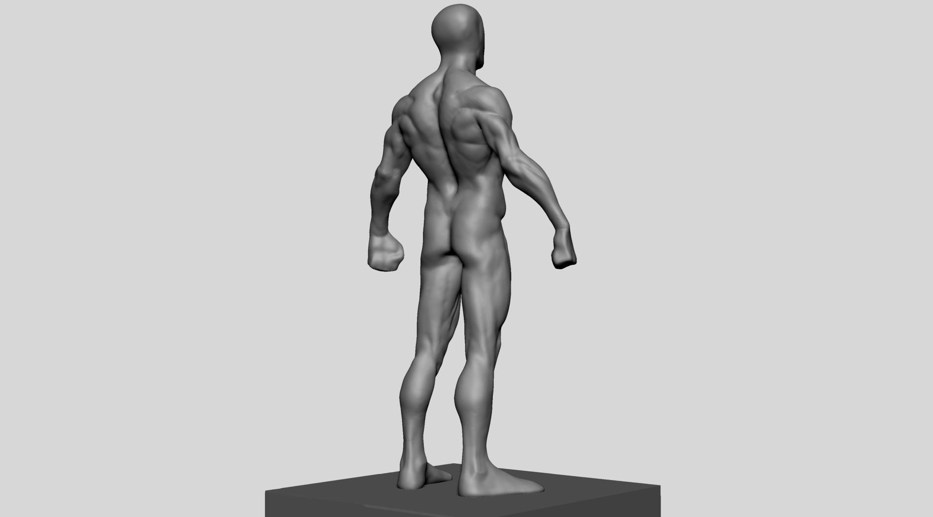 Average Male Anatomy 3D model_3
