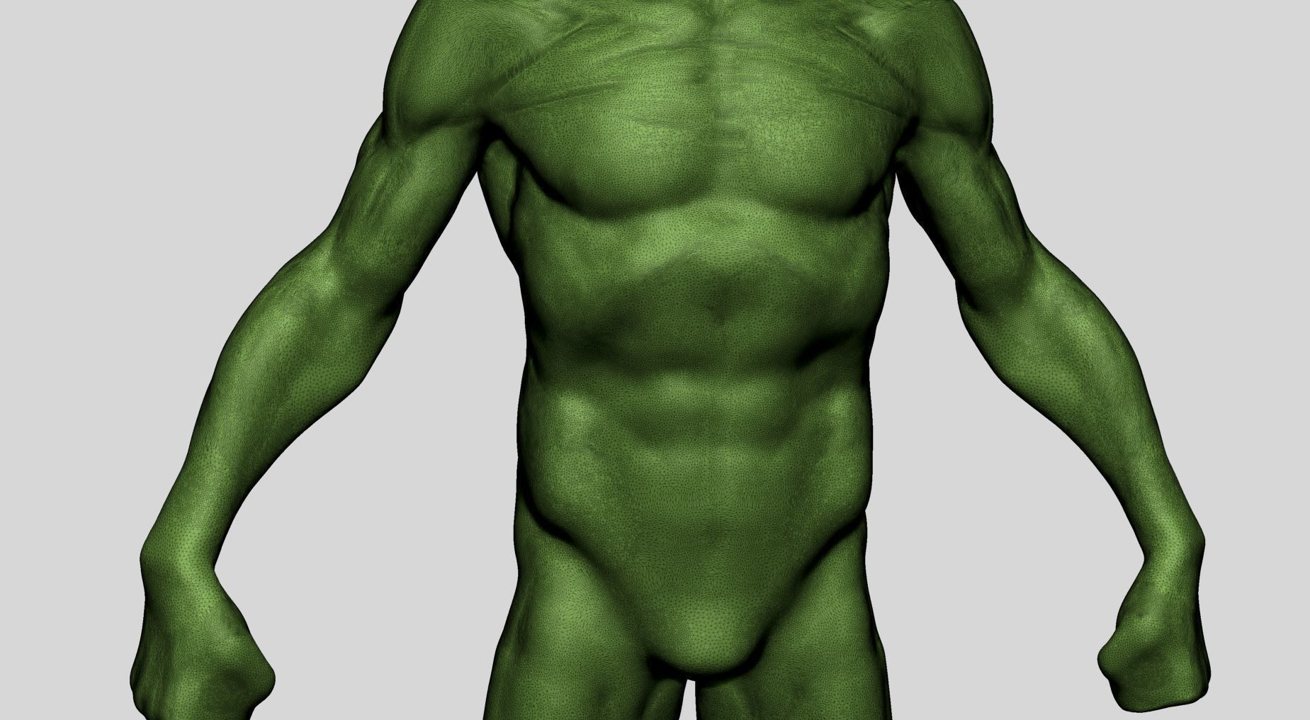 Average Male Anatomy 3D model_9