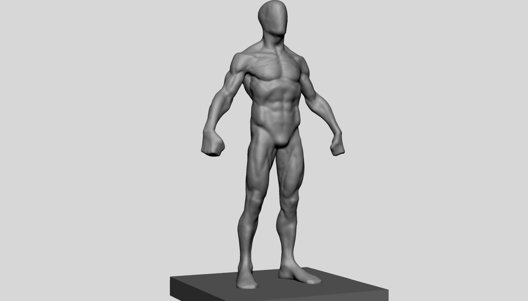 Average Male Anatomy 3D model_1