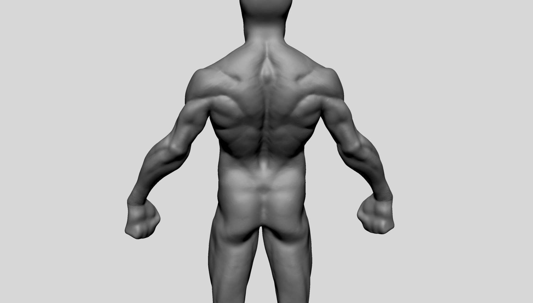 Average Male Anatomy 3D model_8