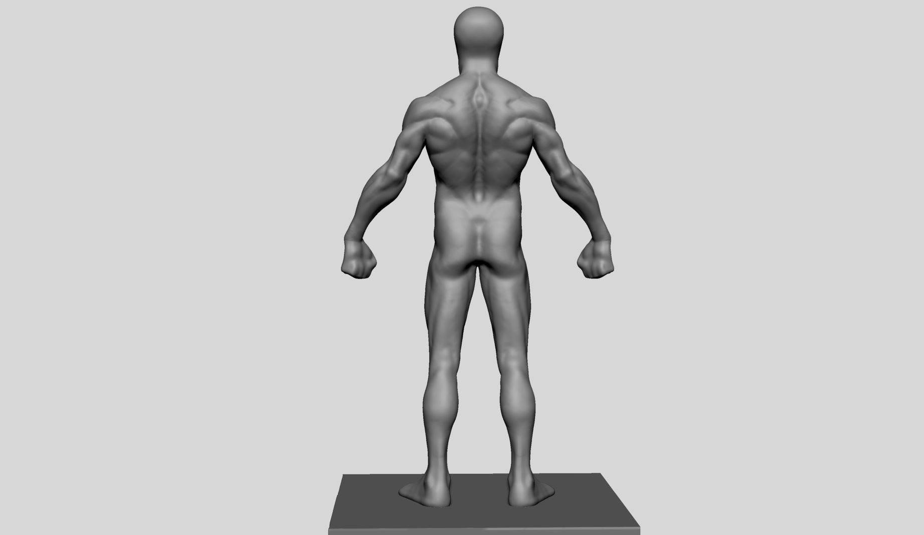 Average Male Anatomy 3D model_4