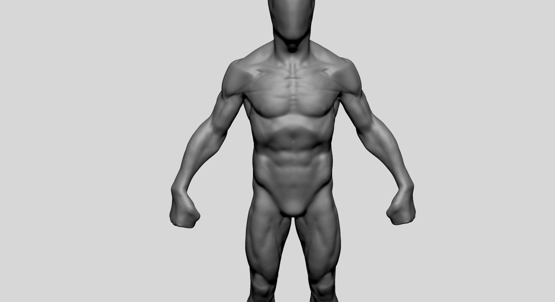 Average Male Anatomy 3D model_7