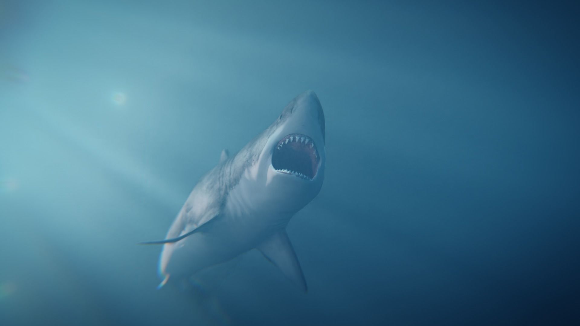 White Shark rigged and animated Blender3D Low-poly 3D model_6