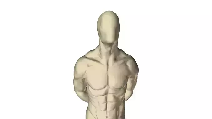 Human Anatomy - Man 