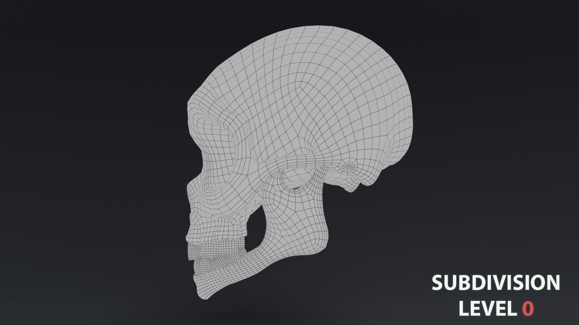 Stylized skull Low-poly 3D model_15