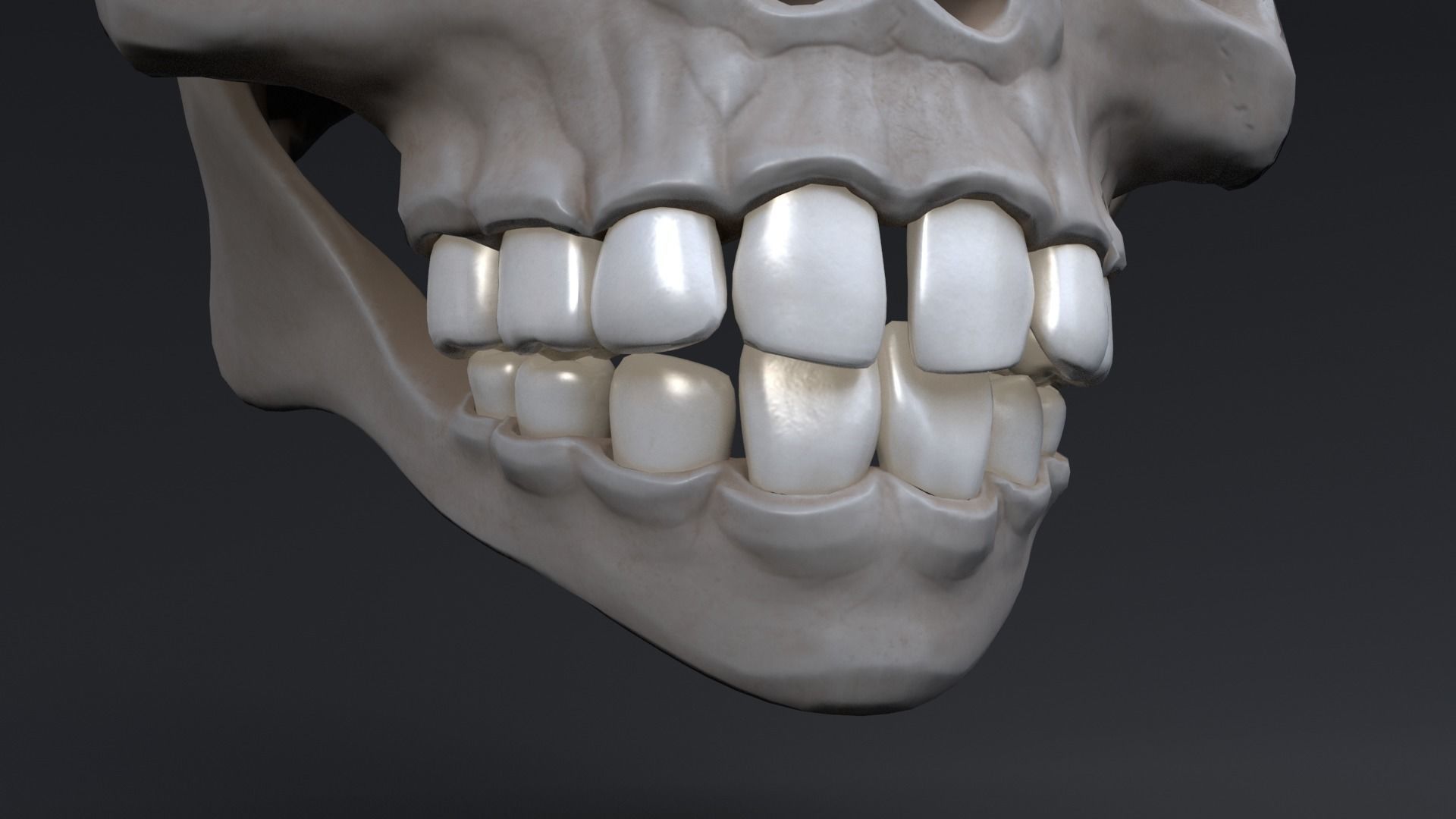 Stylized skull Low-poly 3D model_3