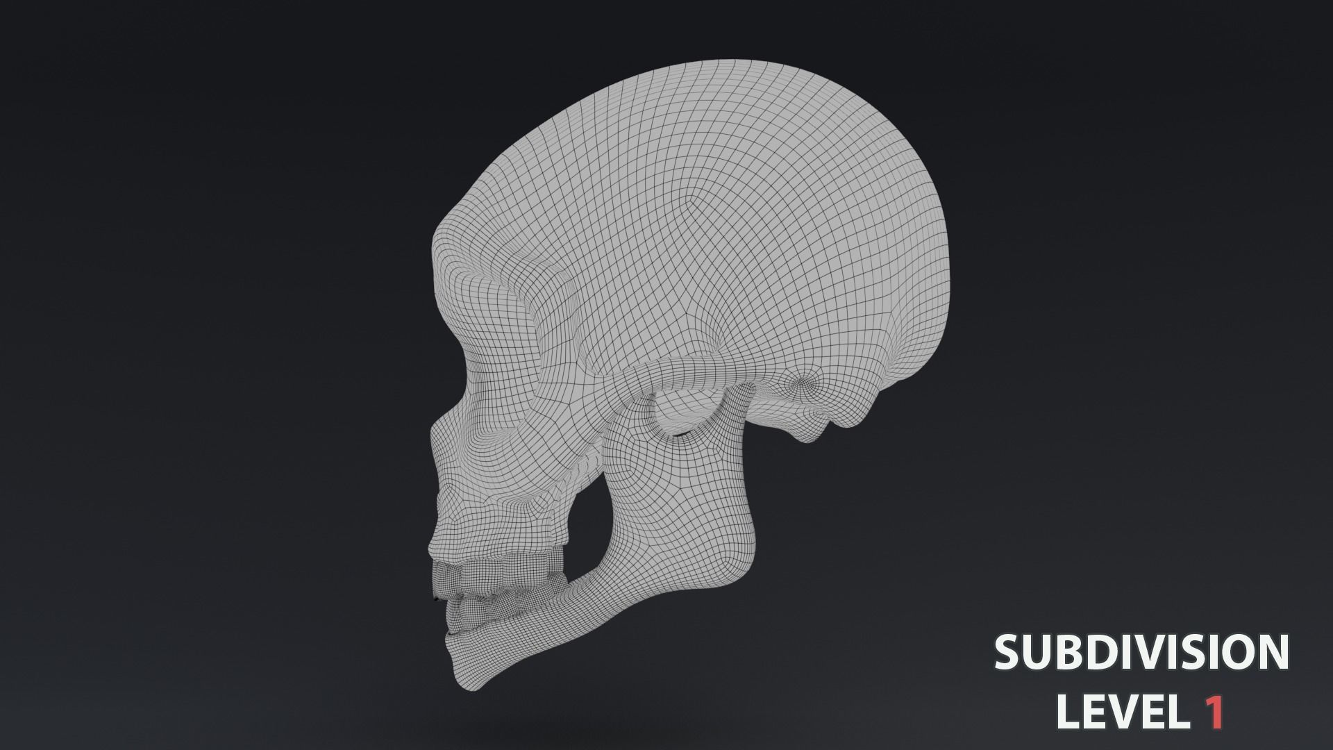Stylized skull Low-poly 3D model_16