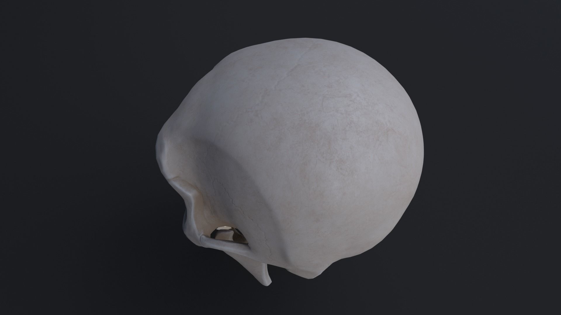 Stylized skull Low-poly 3D model_6