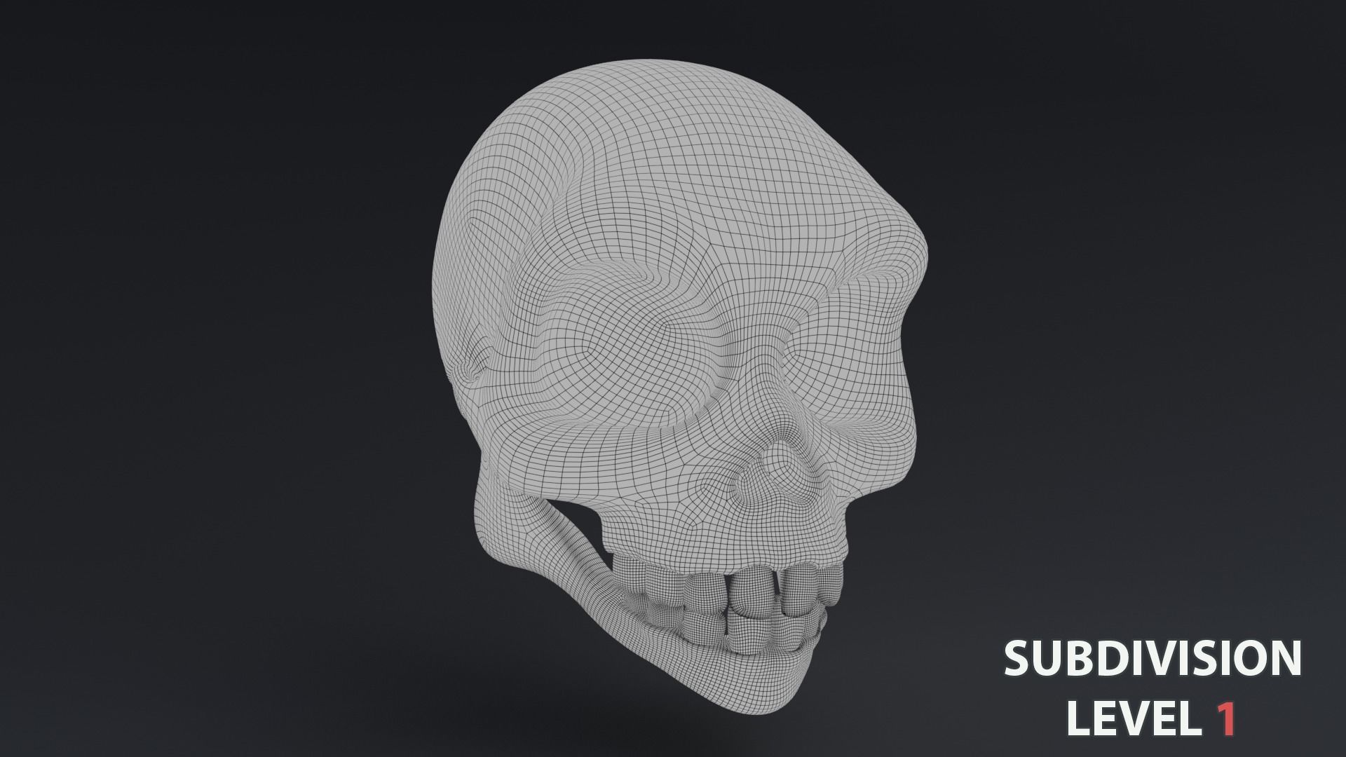 Stylized skull Low-poly 3D model_8