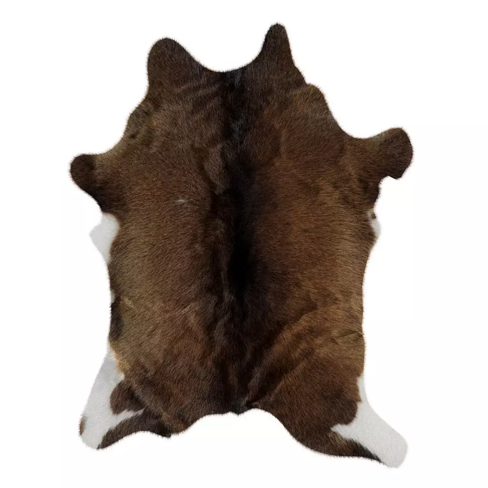 Animal skin rug 15 3D model