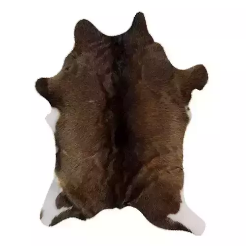 Animal skin rug 15