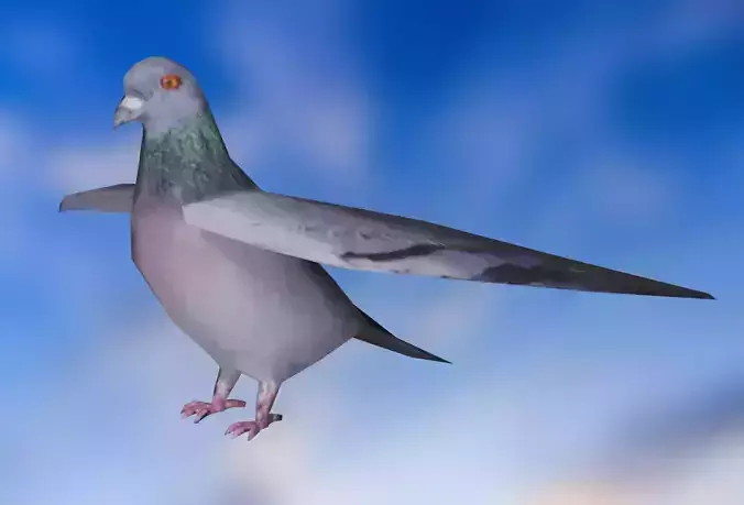 pigeon - bird  Low-poly 3D model