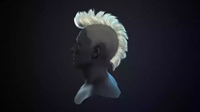 Iroquois mohawked head