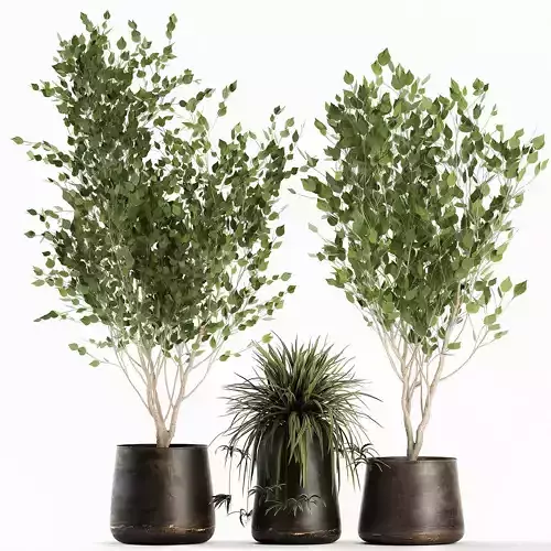 Trees in a rust pot for the interior 1046