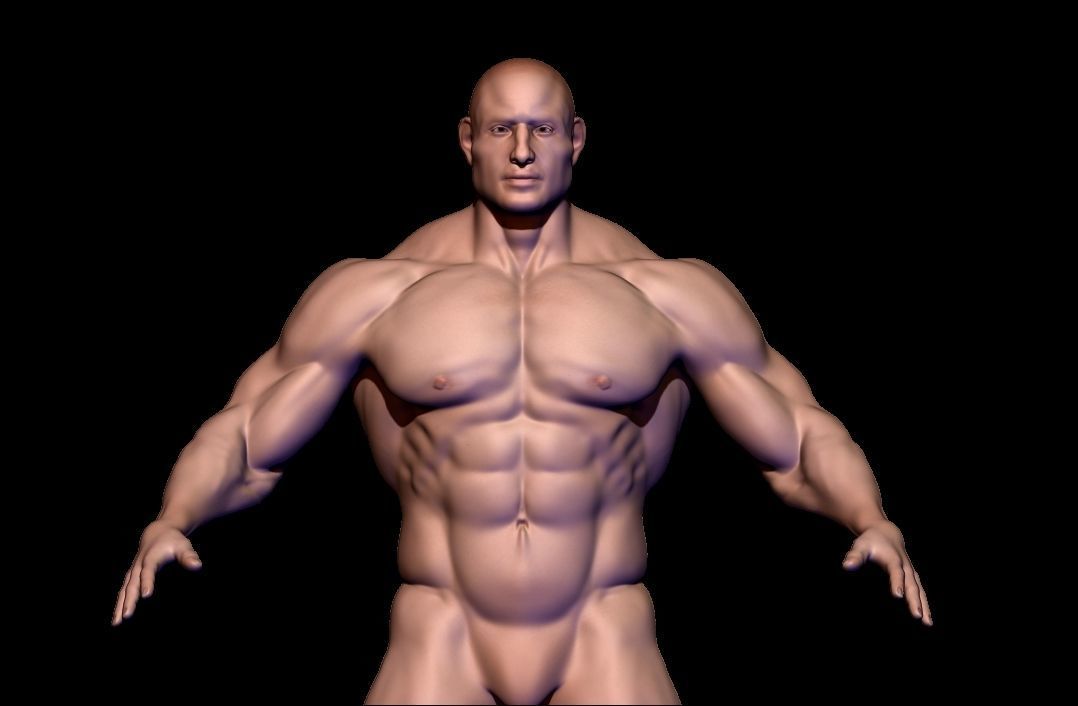 body builder base meash  Low-poly 3D model_4