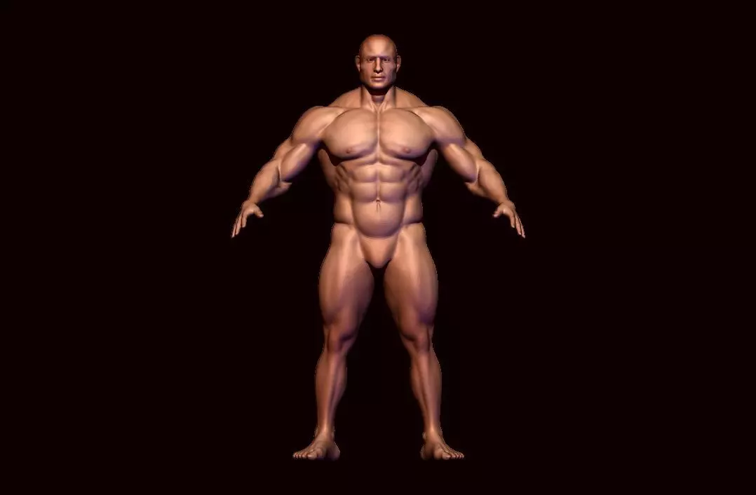 body builder base meash  Low-poly 3D model_0