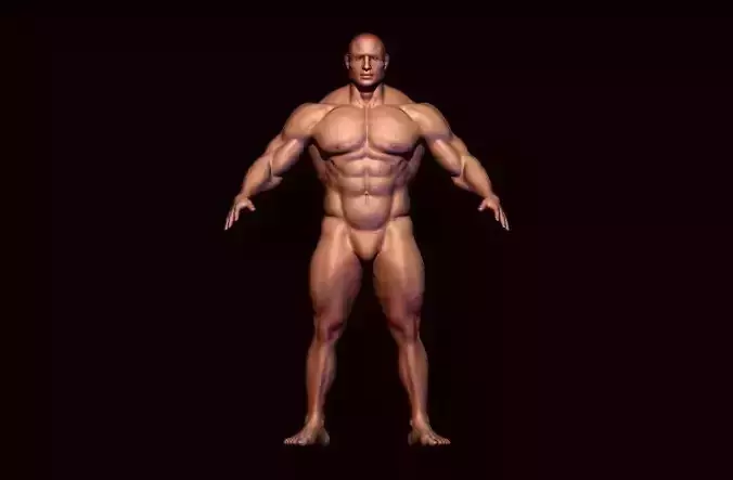 body builder base meash  Low-poly 3D model