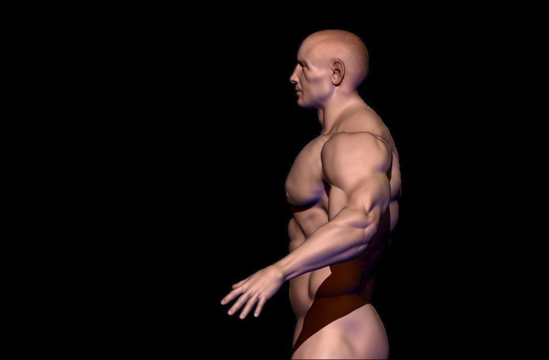 body builder base meash  Low-poly 3D model_5