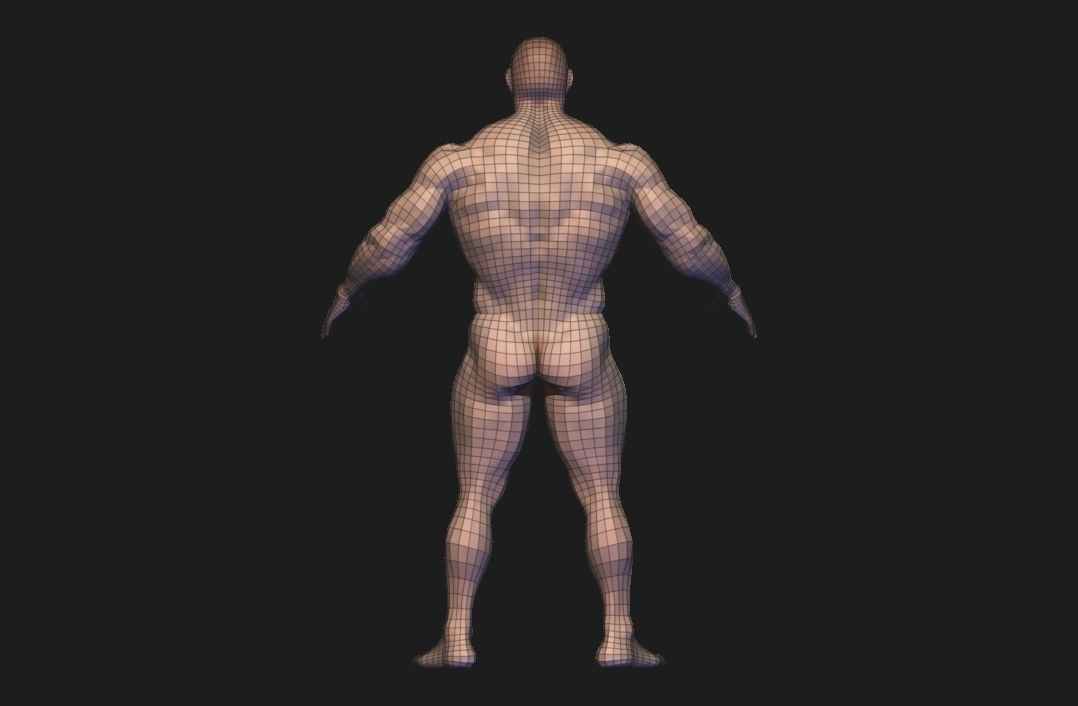 body builder base meash  Low-poly 3D model_9