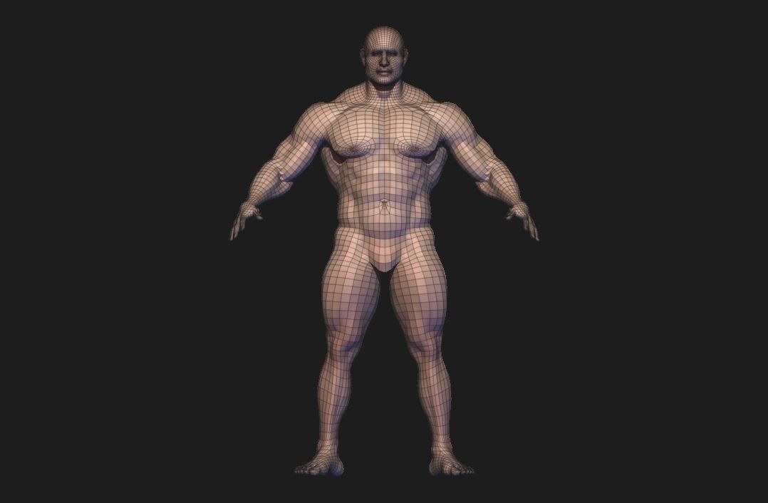 body builder base meash  Low-poly 3D model_7