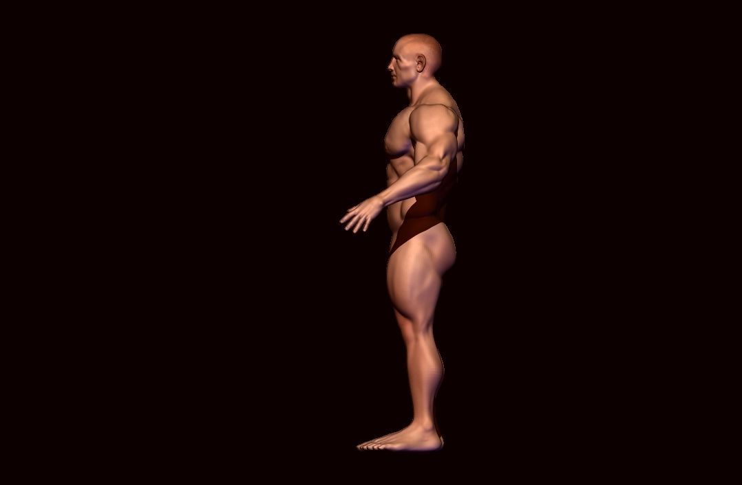 body builder base meash  Low-poly 3D model_2