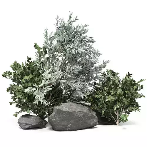 Stone and Bush Pack 17