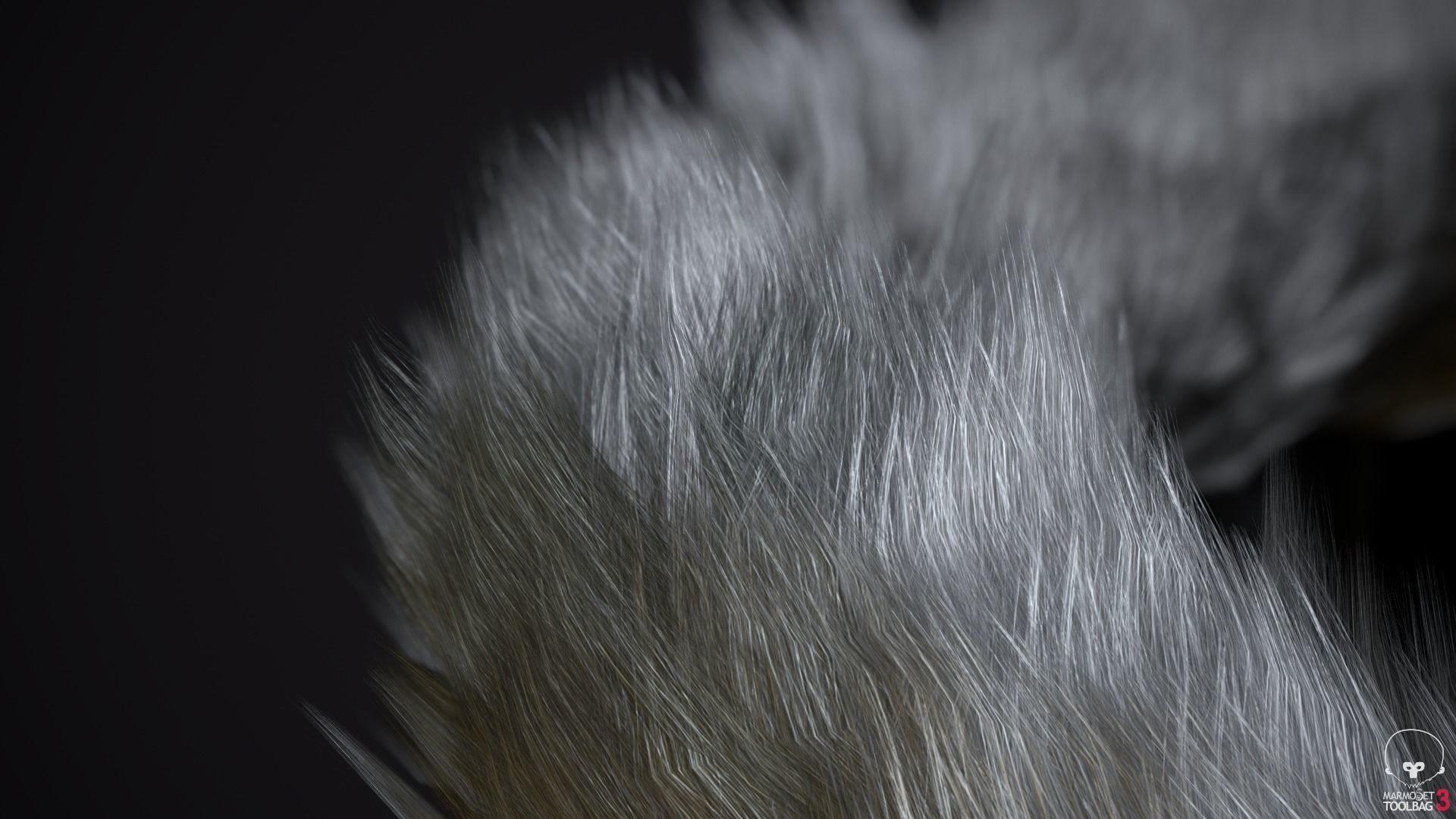 Gold and silver jackets Low-poly 3D model_17