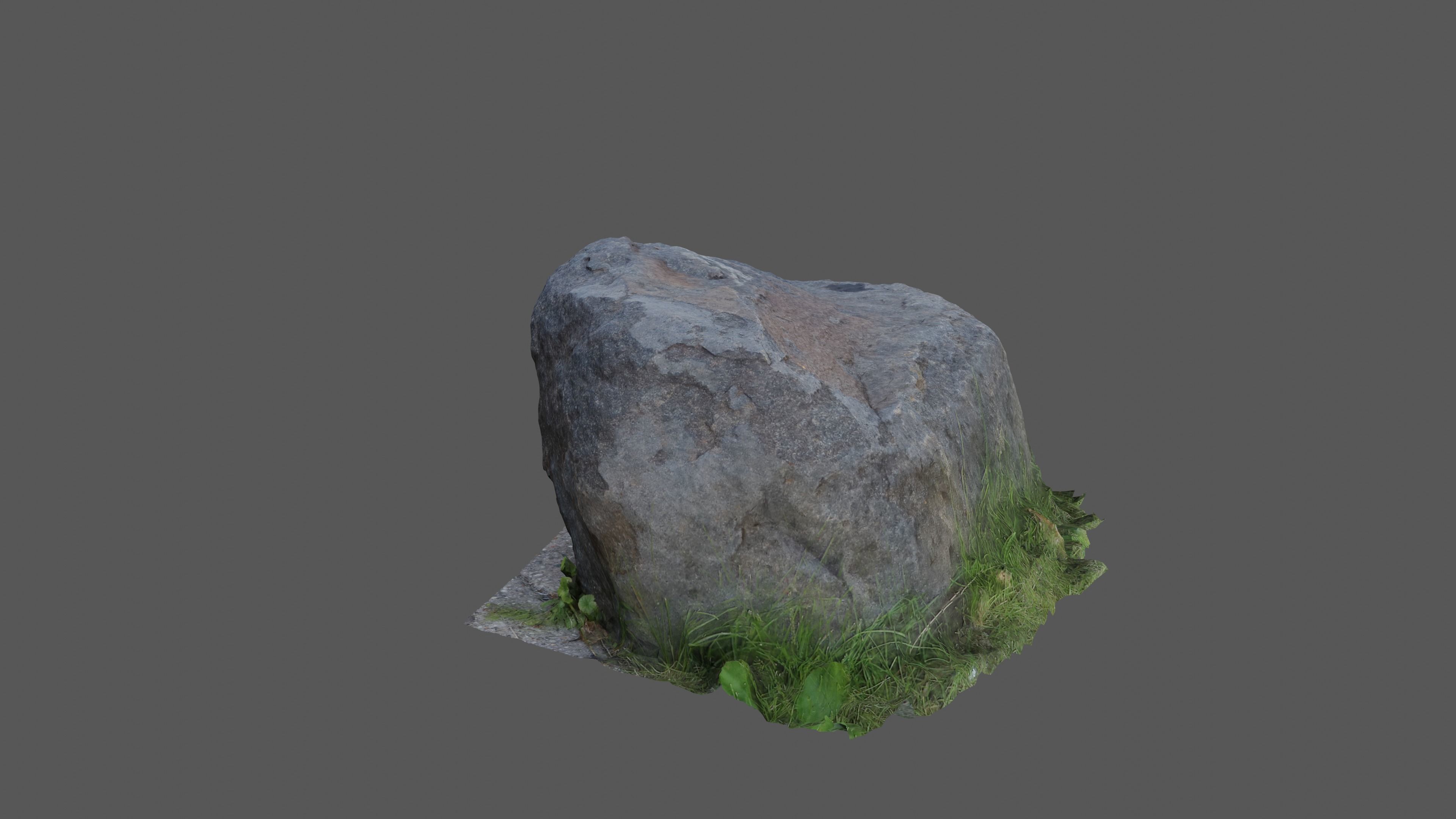 Rock in grass Free 3D model_3