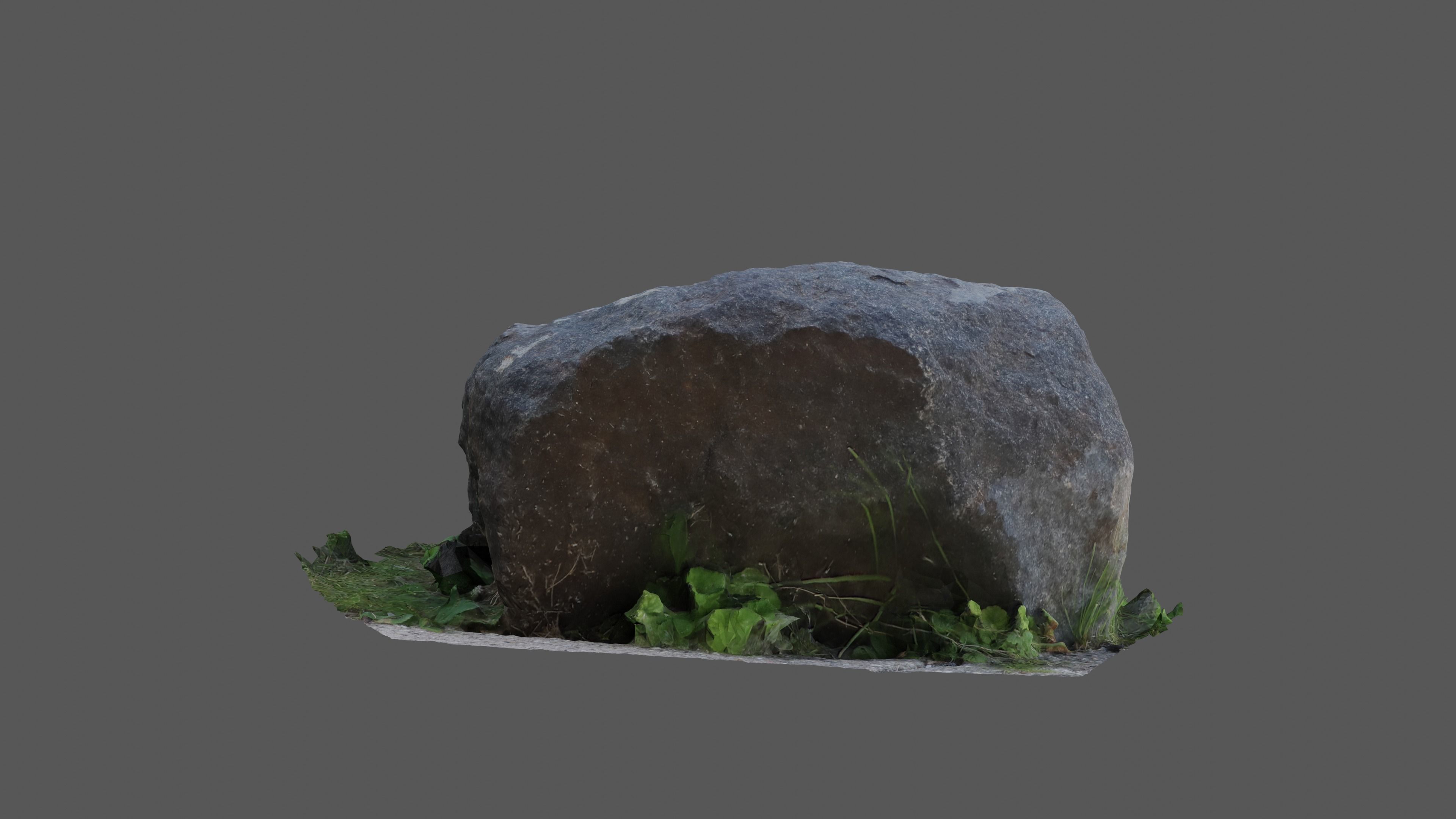 Rock in grass Free 3D model_2