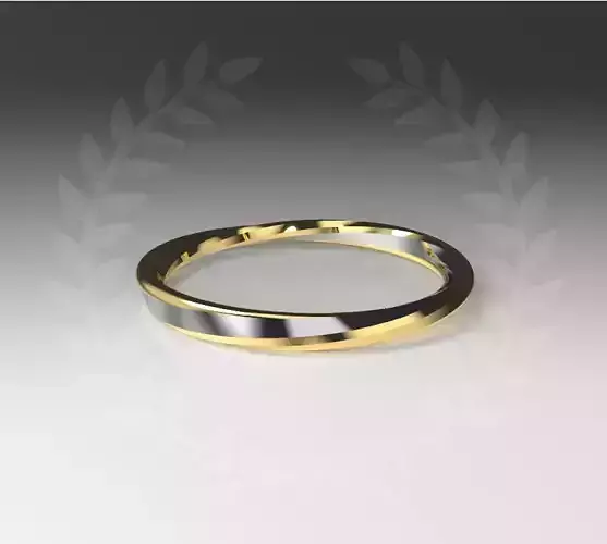 Twist Moebius Ring 3D print model