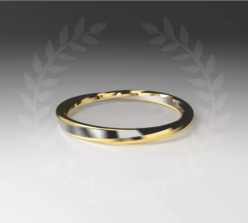 Twist Moebius Ring 3D print model_0