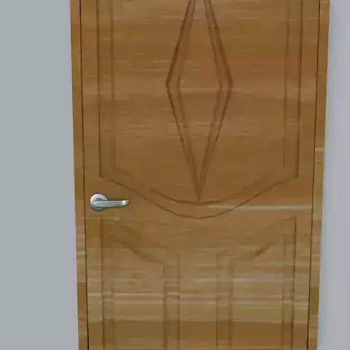Modern Doors