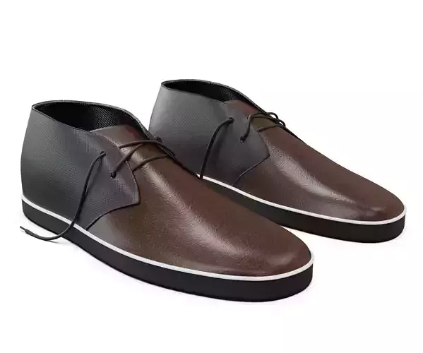 leather shoe