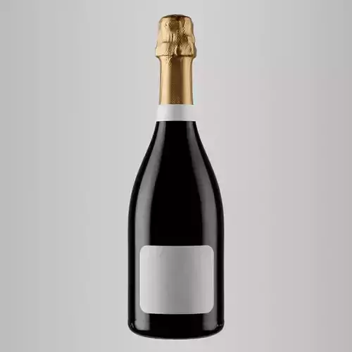 Sparkling Wine Photorealistic Bottle 3D Model Set