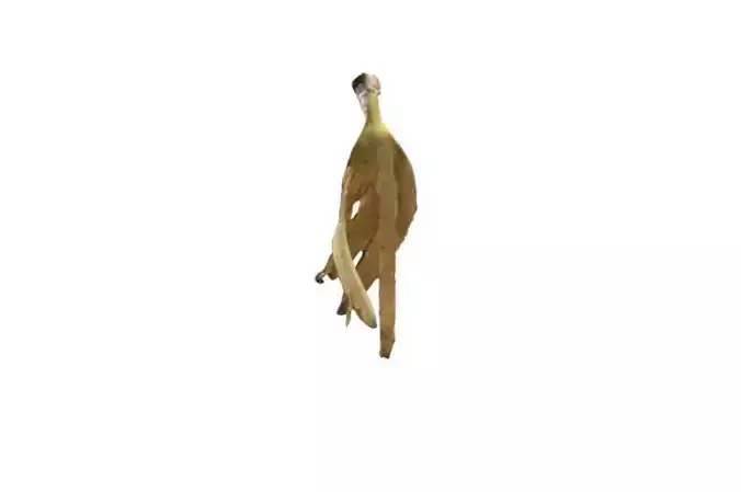 Banana peel 3D model