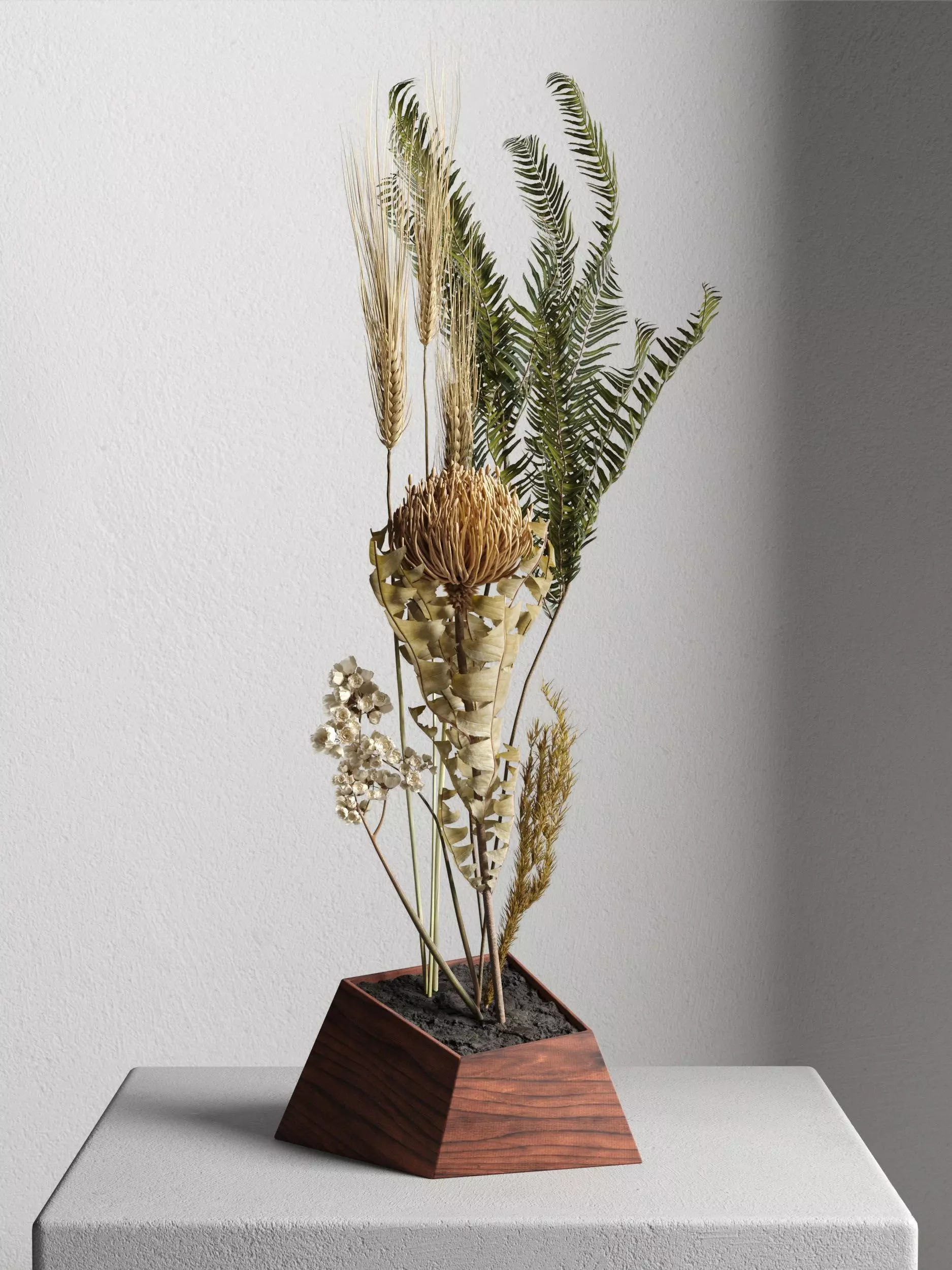 Ikebana 4 planter of dried plants in wooden box 3D model