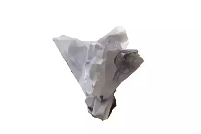 crumpled sheet paper written 3D model