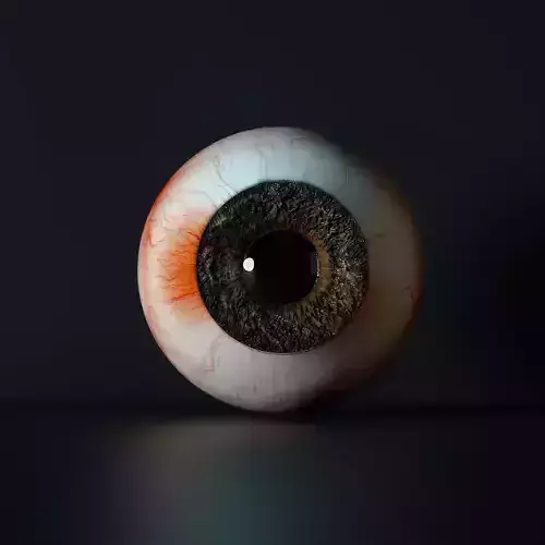 Realistic Human Eye