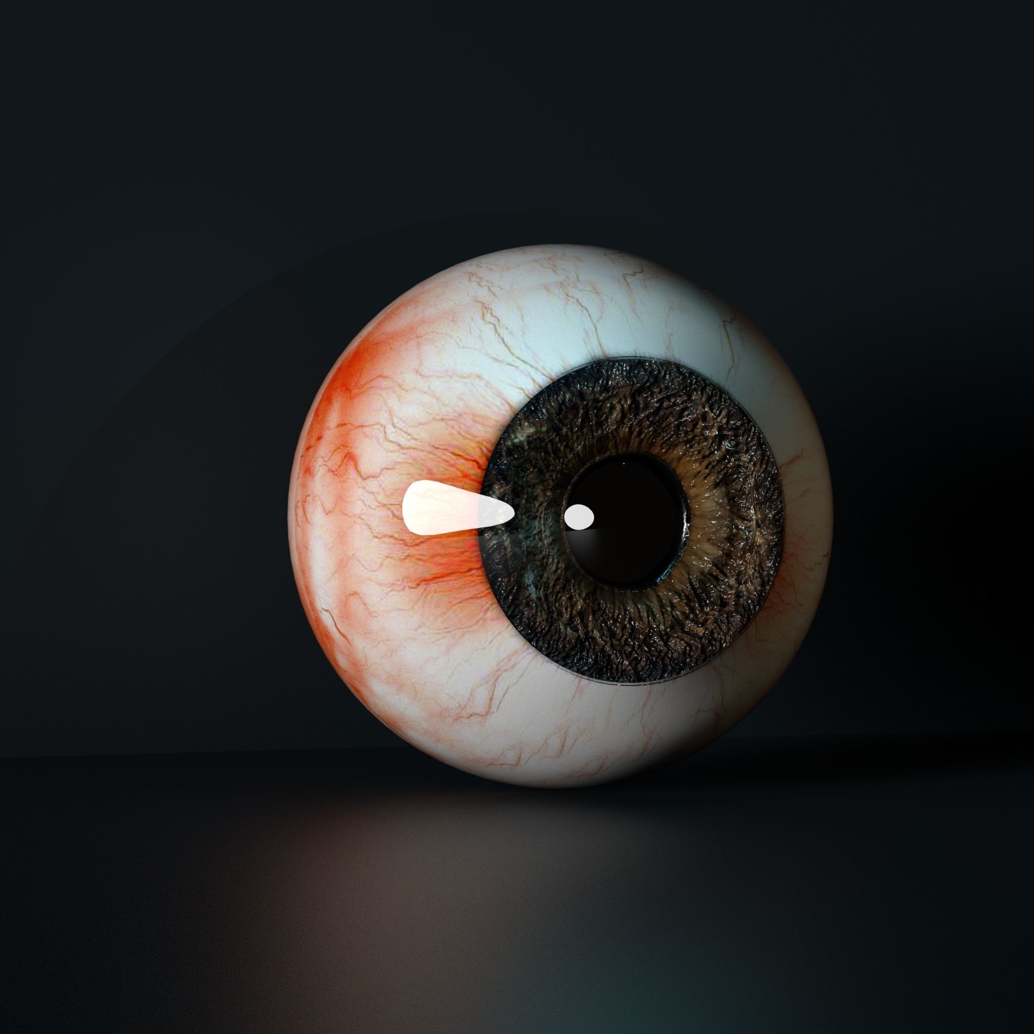 Realistic Human Eye Low-poly 3D model_1