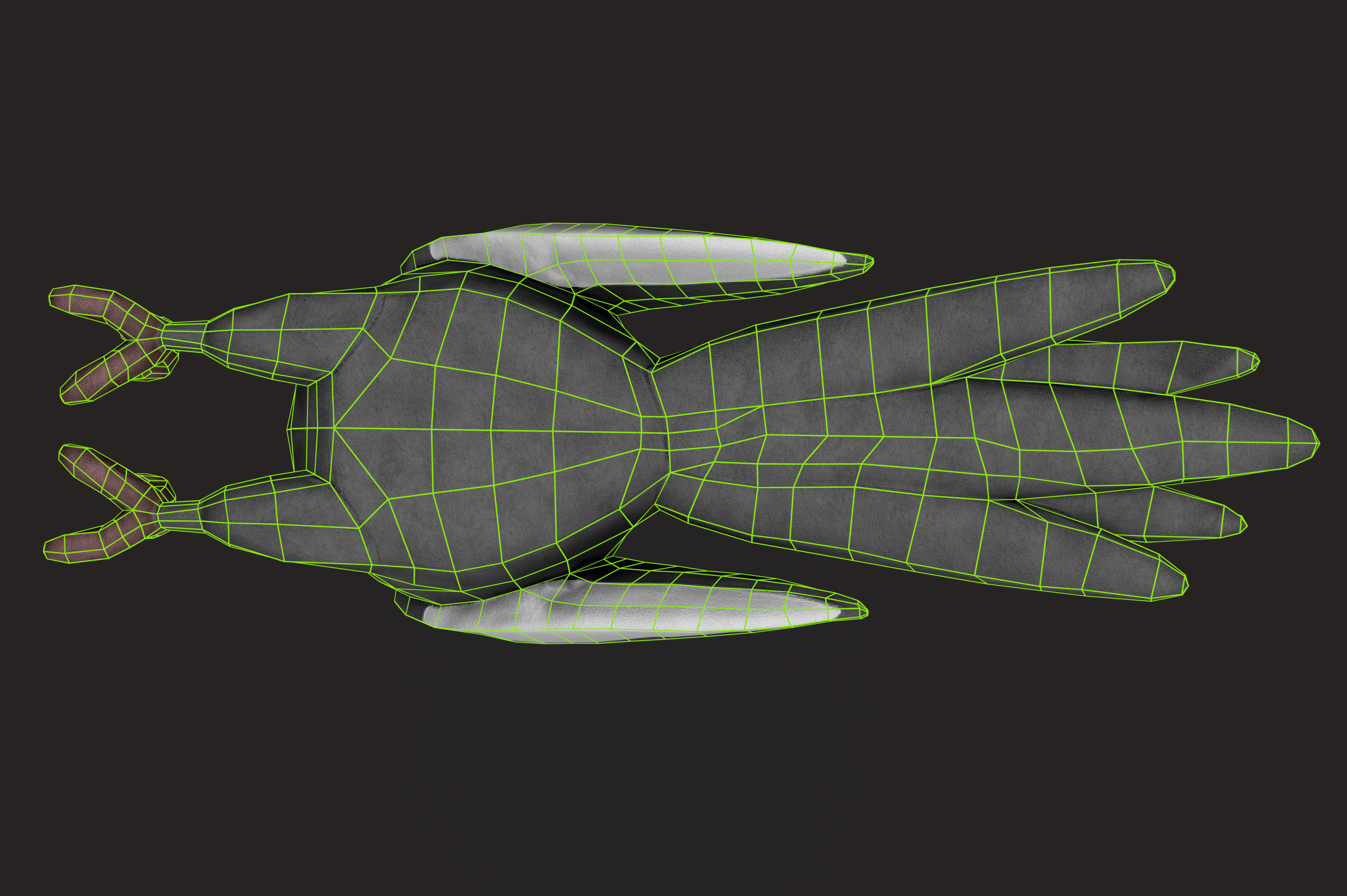 Toy cockatiel parrot Low-poly 3D model_10