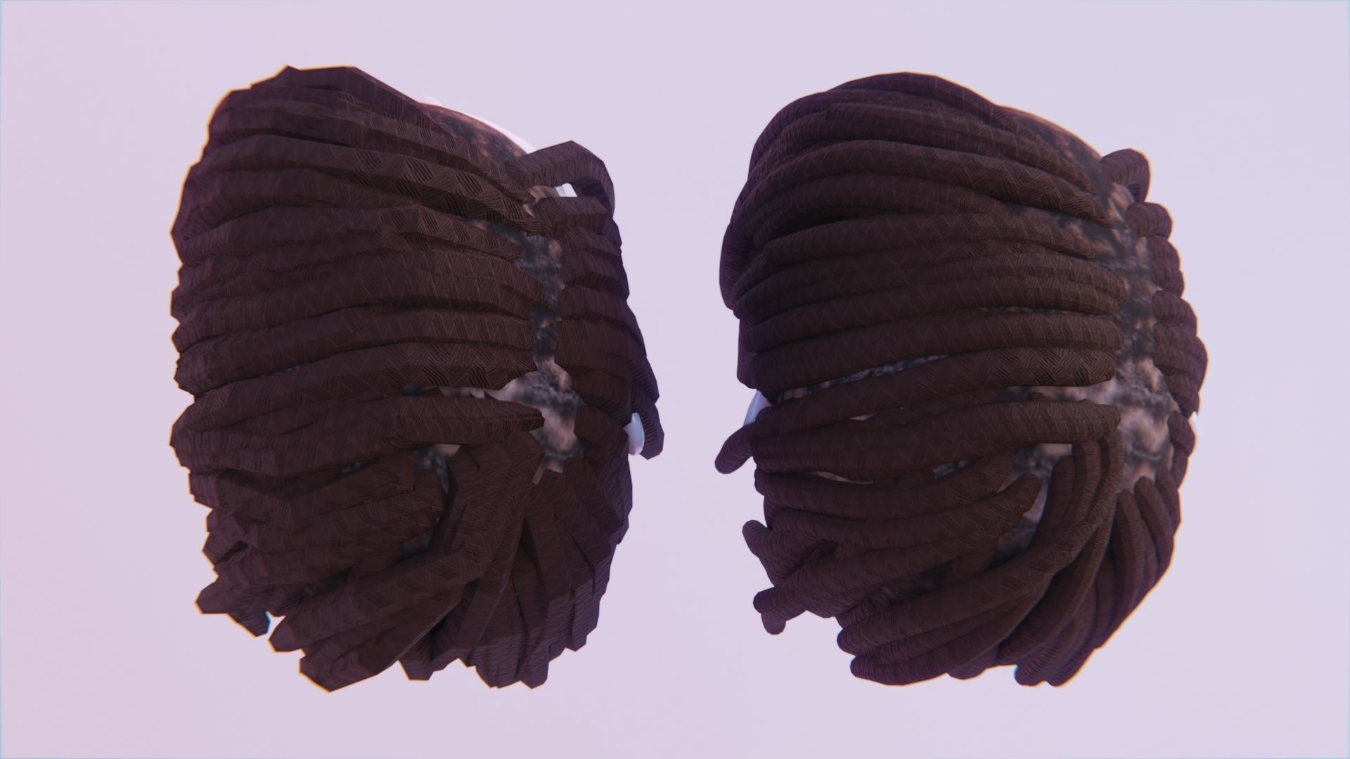 Female Medium Braided Dreads - High and Low Poly Versions Low-poly 3D model_3