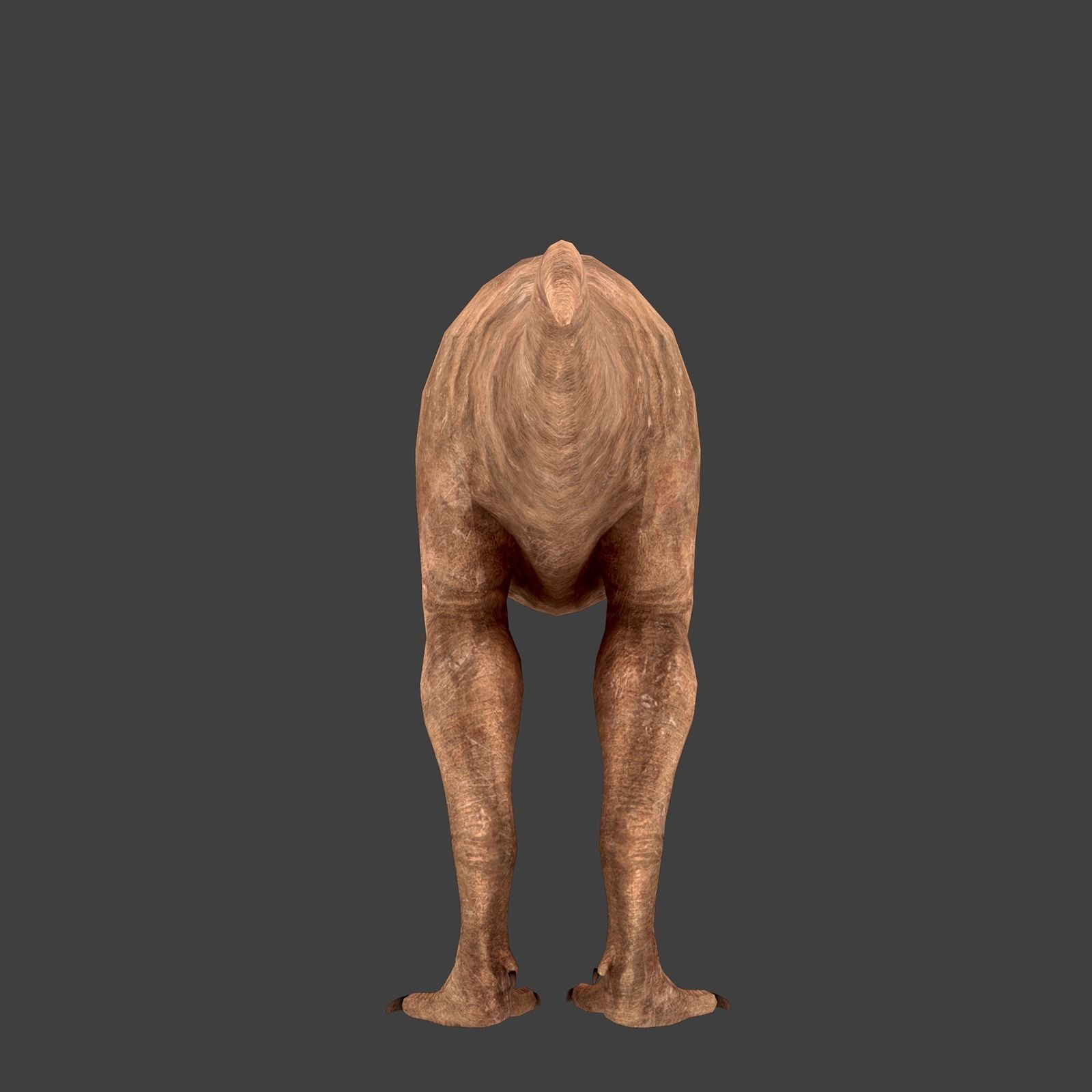 T-Rex Low-poly 3D model_5