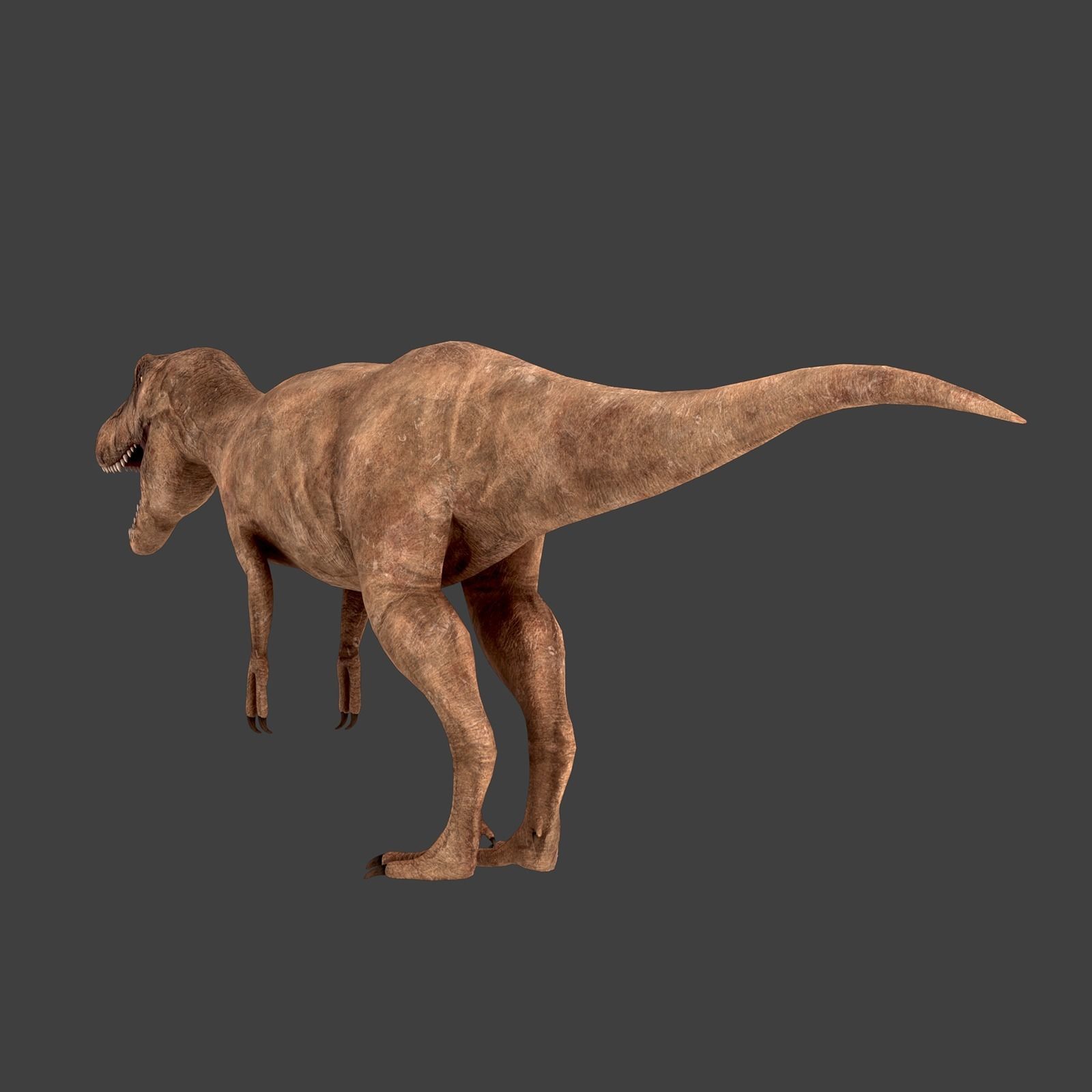 T-Rex Low-poly 3D model_4